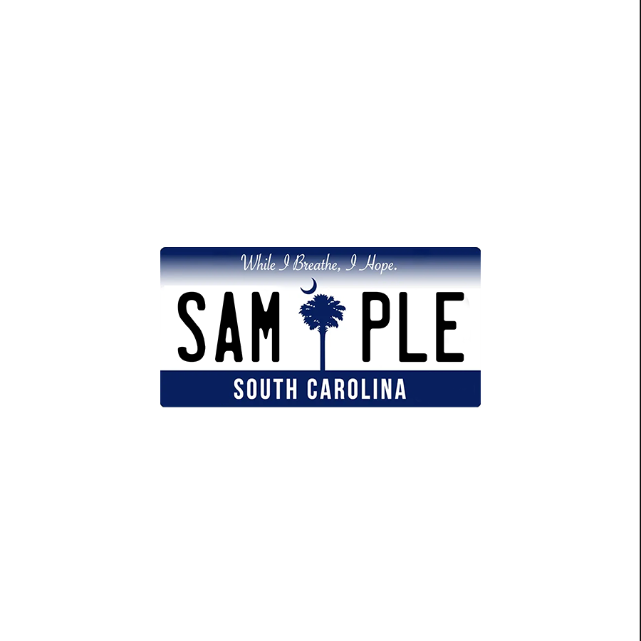 South Carolina (Blue) Scale License Plate