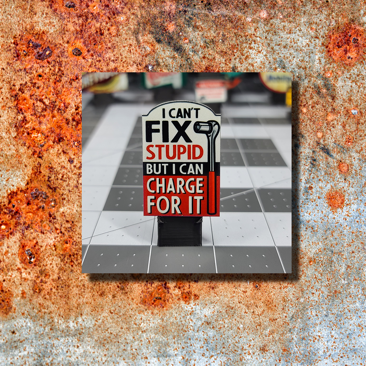 Can't Fix Stupid Shop Sign