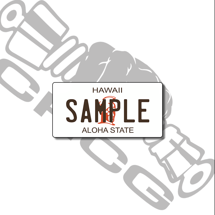 Hawaii Old Scale License Plate