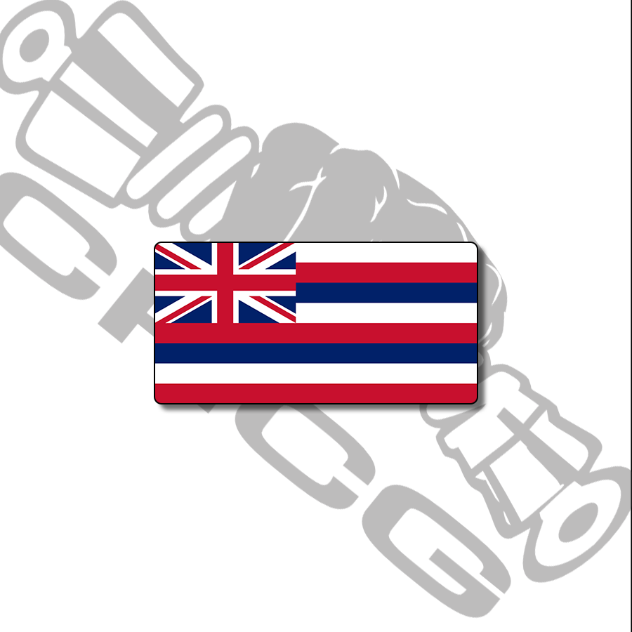 Hawaiian Scale License Plate